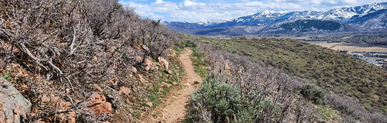 A dirt trail winds through a hillside with dry shrubs, leading towards distant snow-capped mountains under a cloudy sky.